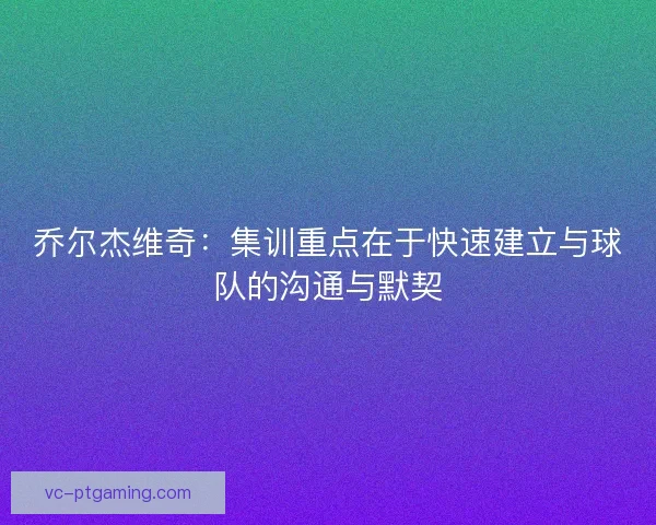 乔尔杰维奇:集训重点在于快速建立与球队的沟通与默契 乔尔杰维奇:集训重点在于快速建立与球队的沟通与默契